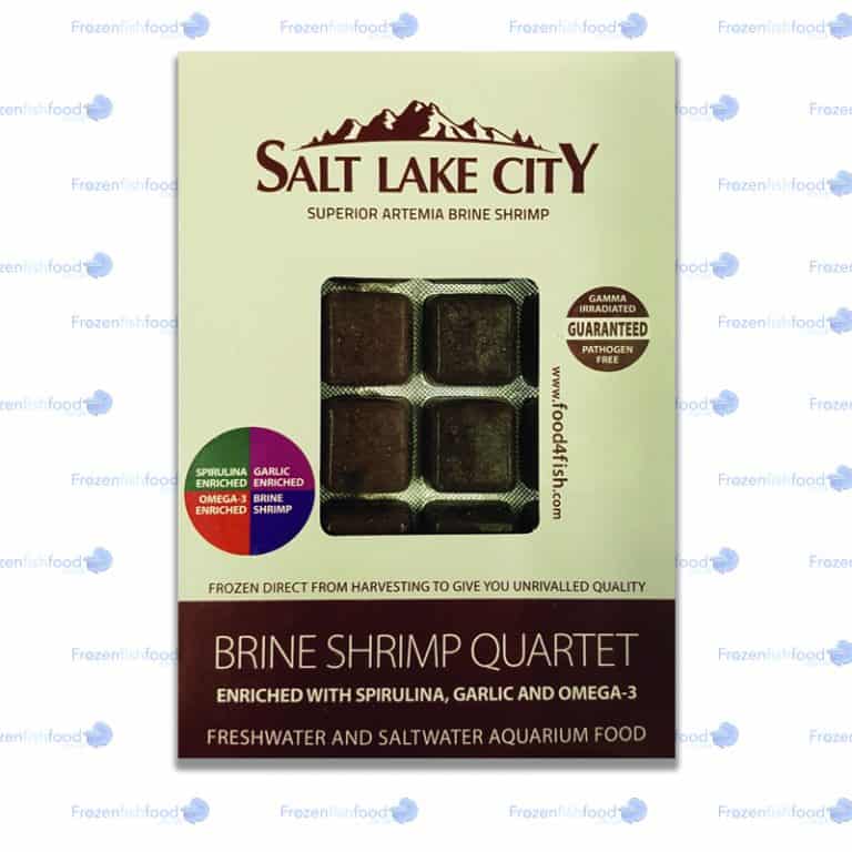 Artemia Brine Shrimp