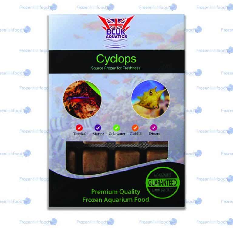 BCUK Cyclops