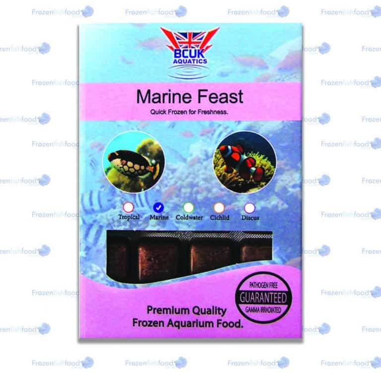 BCUK Marine Feast
