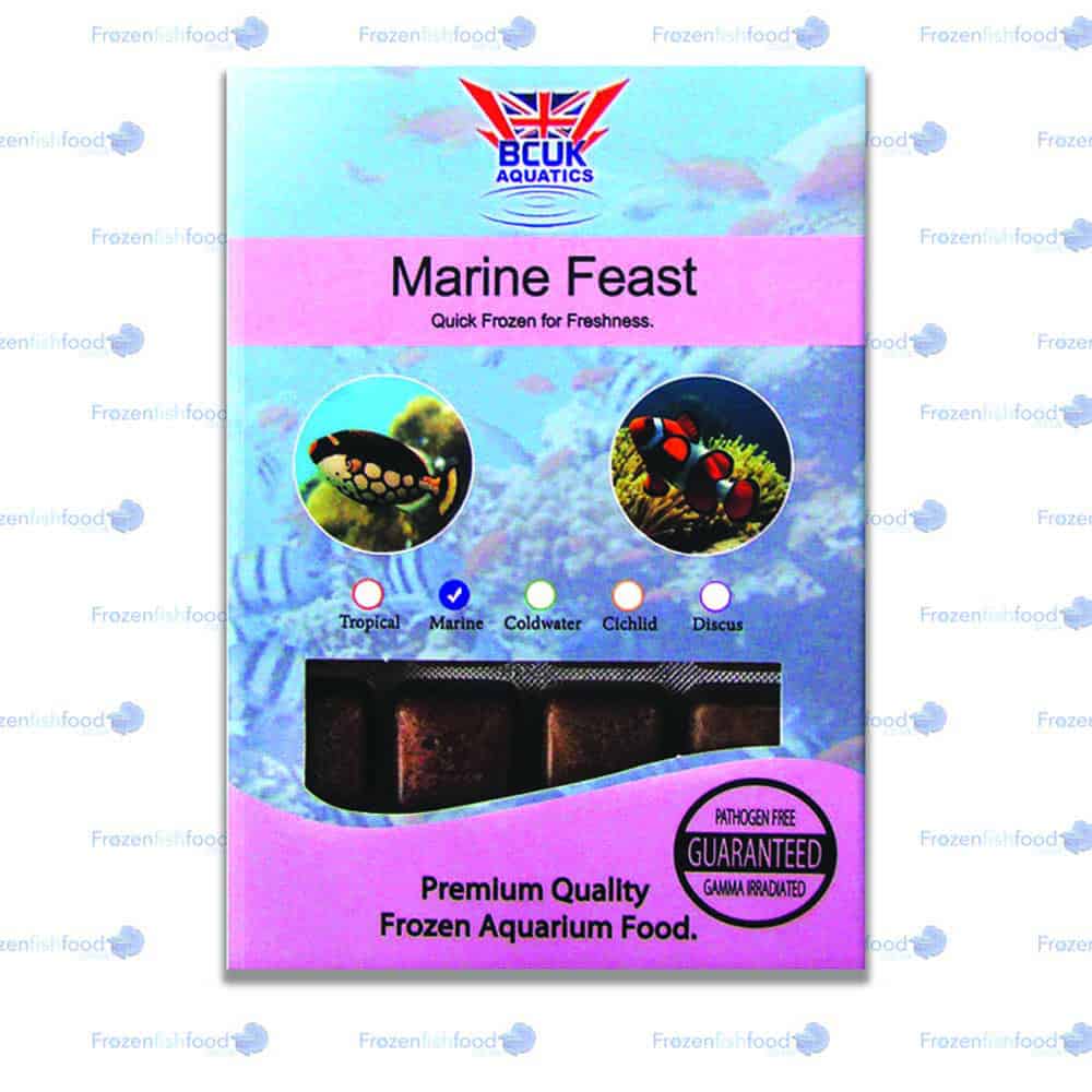 BCUK Marine Feast BCUK Marine Feast