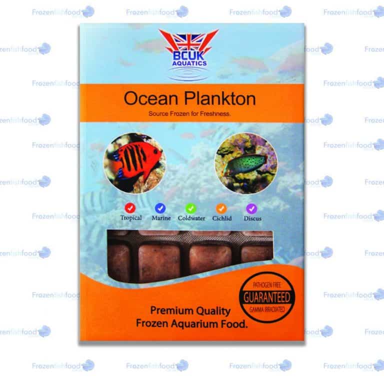 Ocean Plankton