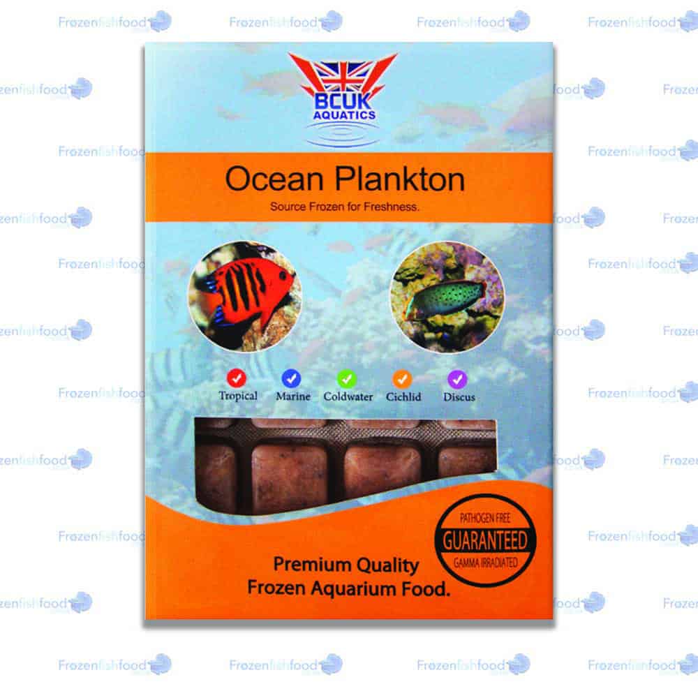 BCUK Ocean Plankton Ocean Plankton