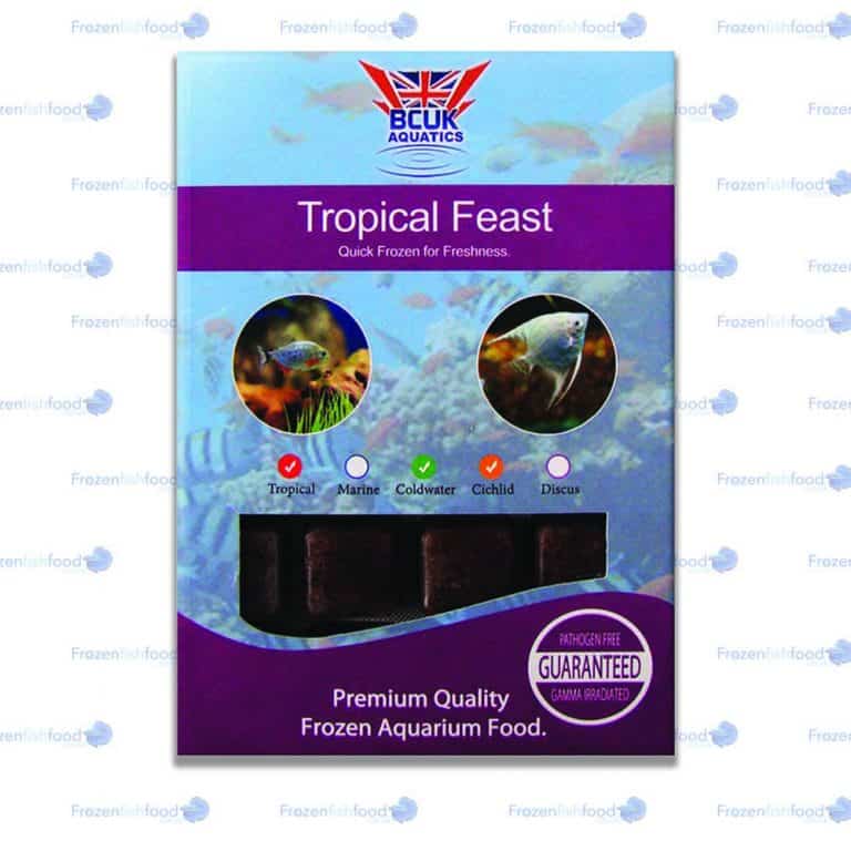 Tropical Feast