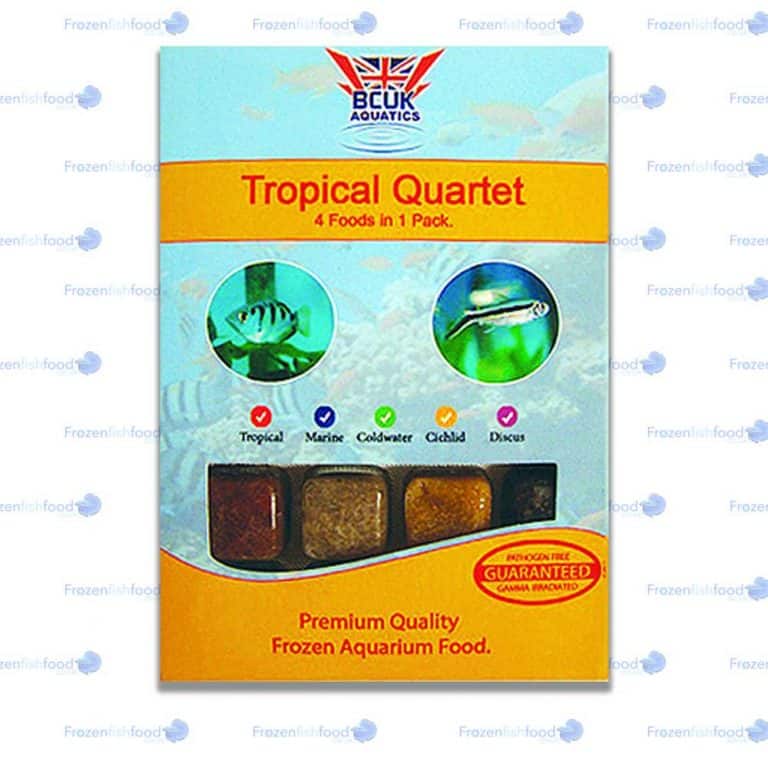 Tropical Quartet