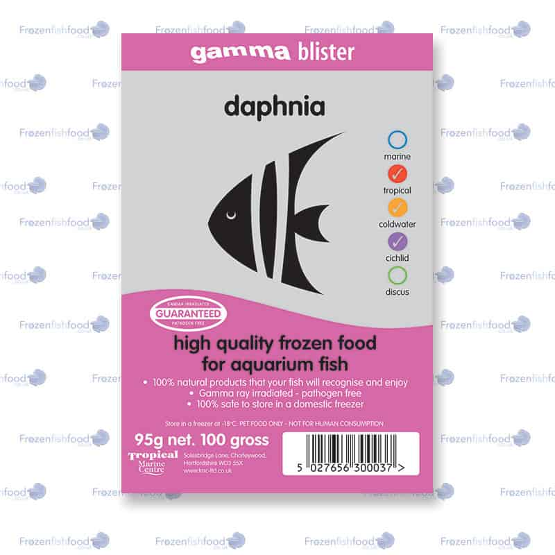 Gamma Daphnia gamm daphnia