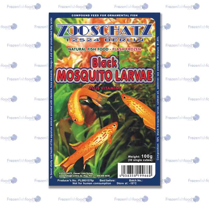 Black Mosquito Larvae