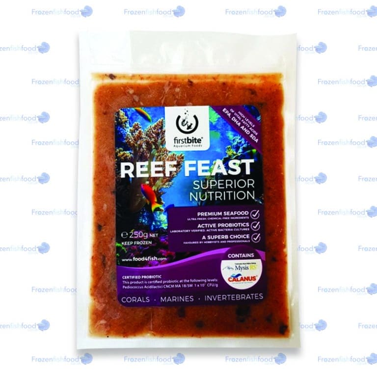 First Bite Reef Feast