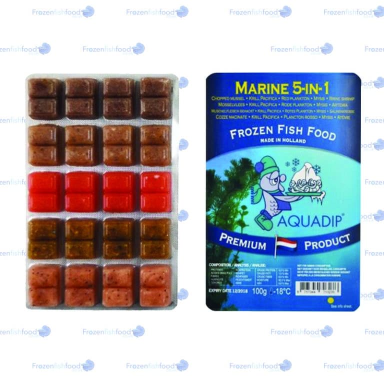 Aquadip Marine Quintet