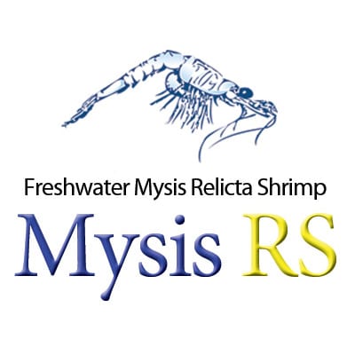 mysis rs