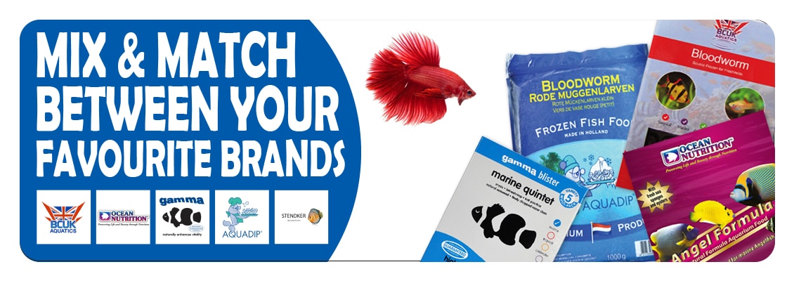 Home Frozen Fish Food Slide 3